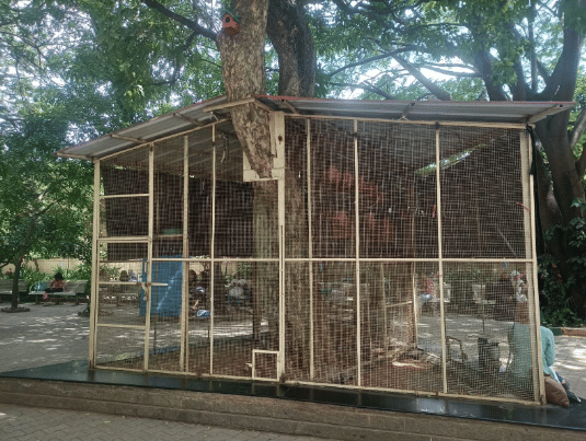 Bishop Cotton Women's Christian Law College Bangalore Infrastructure photo 4